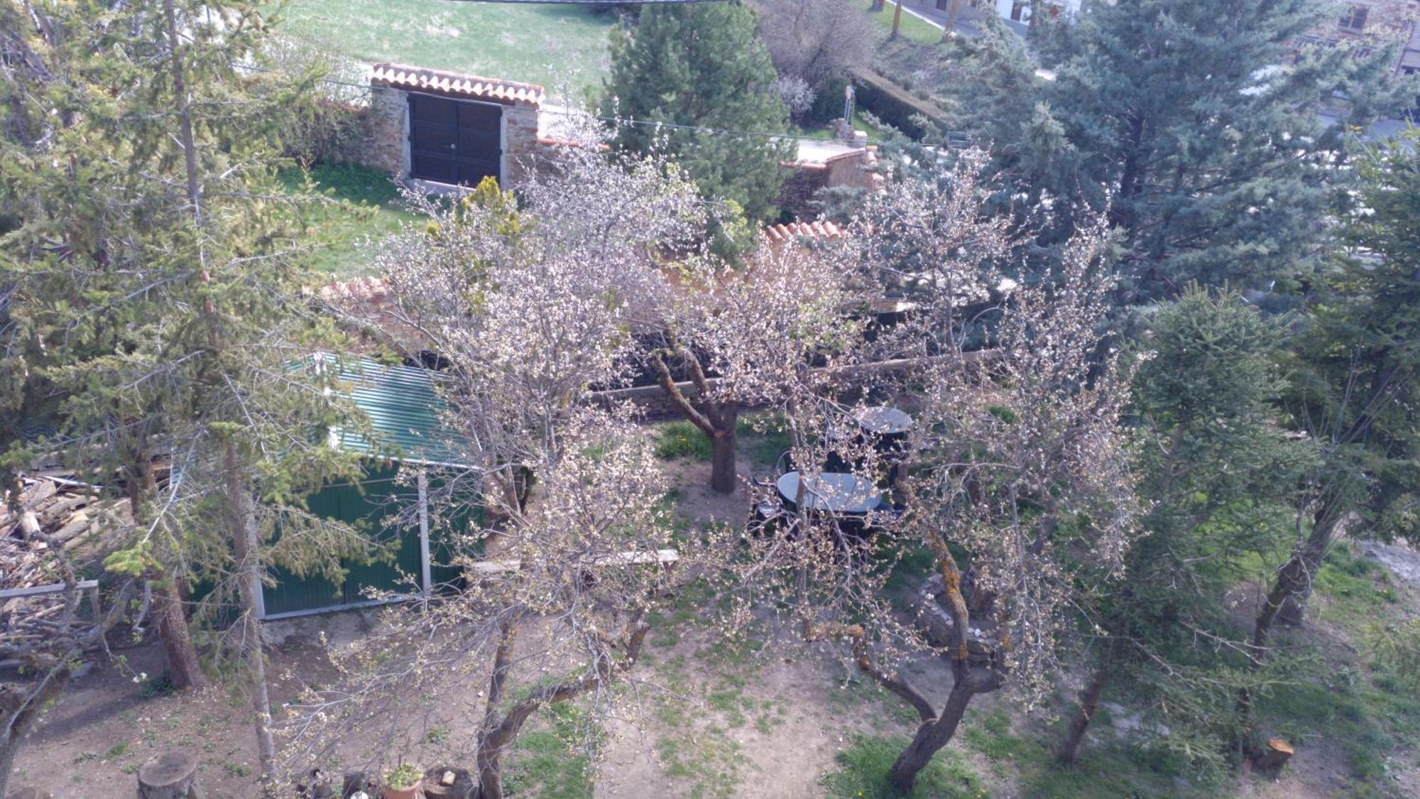 Casa Rural Chulilla Villarroya de los Pinares Exterior photo